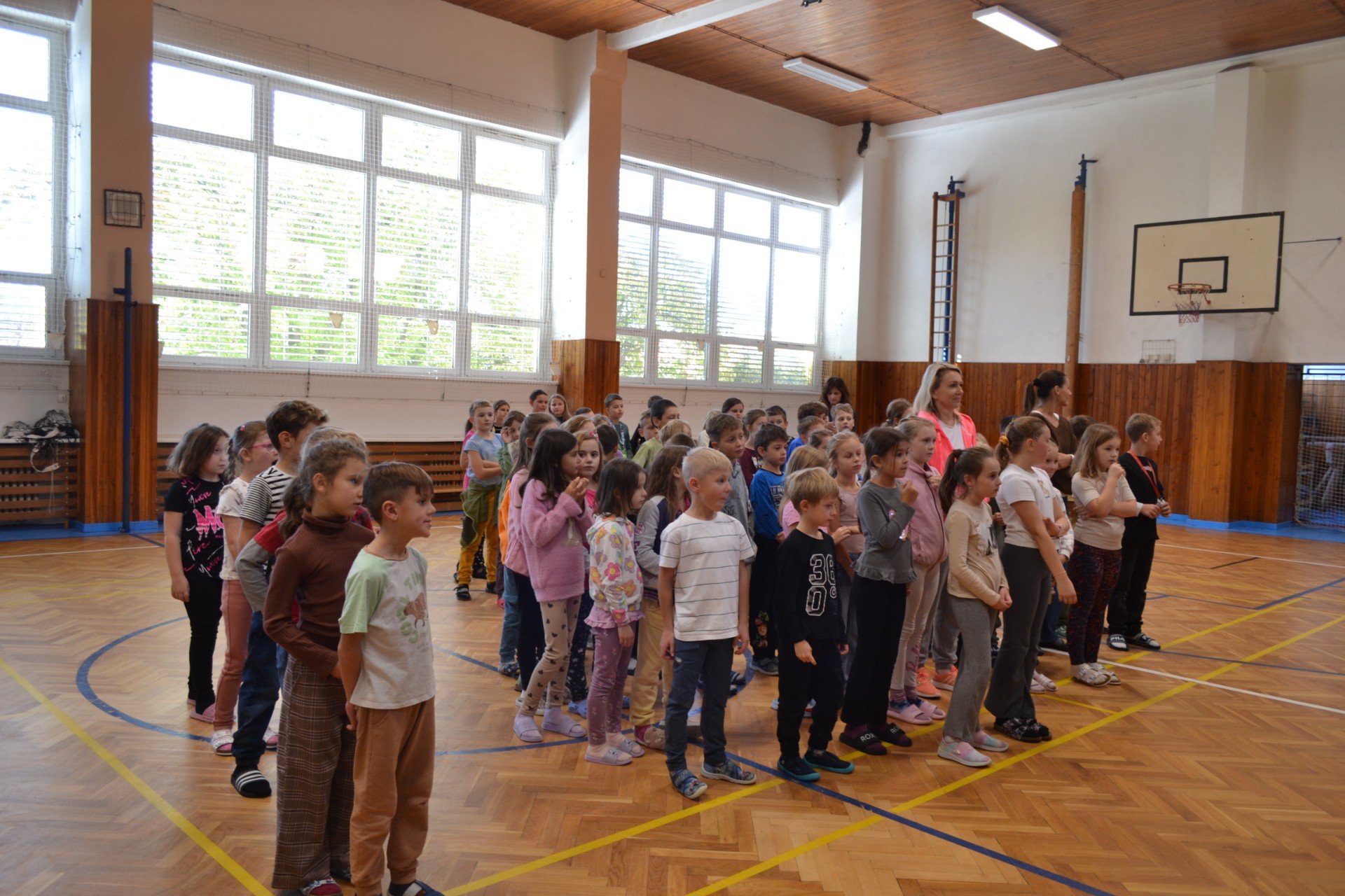 Vyhodnocení podzimního sběru papíru